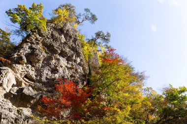 Japonya'da değil Gorge