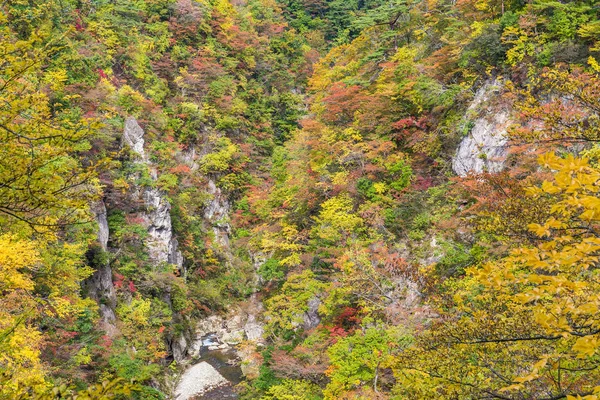 Garganta de Naruko en temporada de otoño —  Fotos de Stock