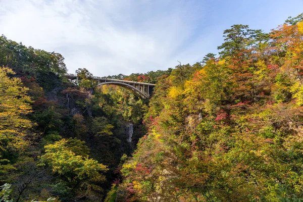 Gorge de Naruko en automne — Photo