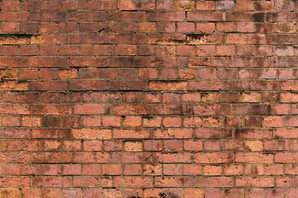 Texture murale en brique rouge — Photo