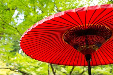 Yeşil ağaçların altında Japon kırmızı şemsiye