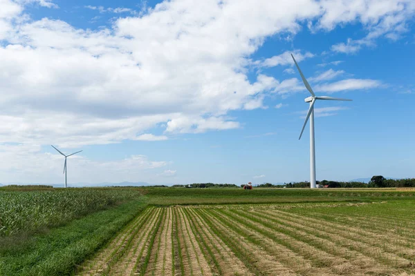 Windturbines en boerderij — Stockfoto