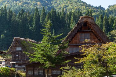 Geleneksel Japon eski köy