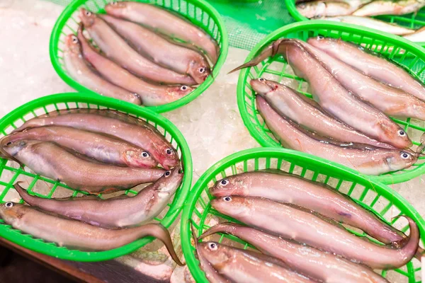 Peixe fresco em cestos — Fotografia de Stock