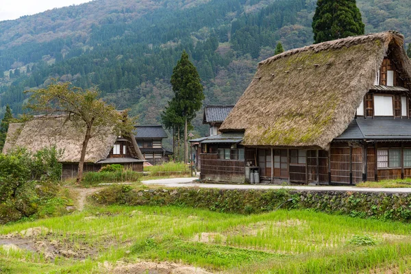 Geleneksel Japon eski köy