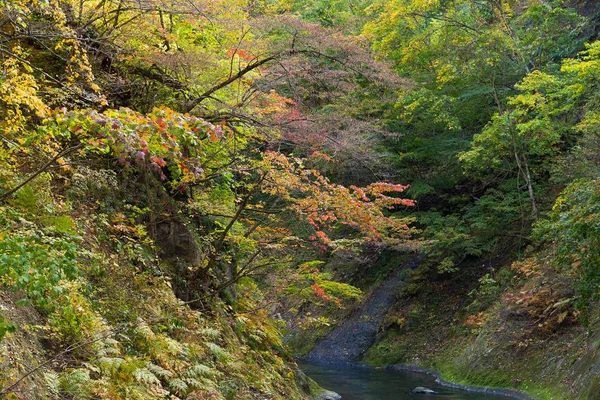 Naruko Gorge Feuilles d'automne — Photo