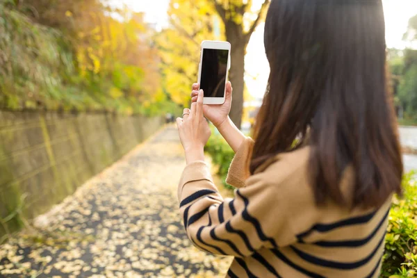 Frau erfasst Landschaft mit Handy — Stockfoto