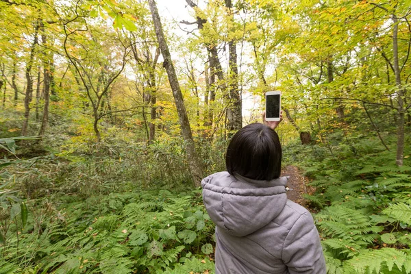 Mujer tomando fotos en el bosque — Foto de Stock