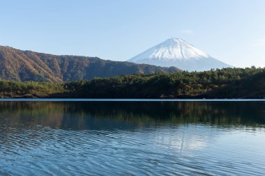 Göl Saiko ve Fuji Dağı