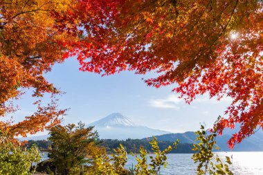 Mt. Fuji ve sonbahar yaprakları 