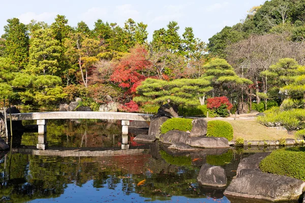 Kırmızı yapraklar ile Japon bahçesi — Stok fotoğraf