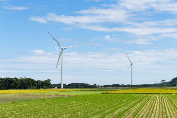 Turbines éoliennes et champ — Photo