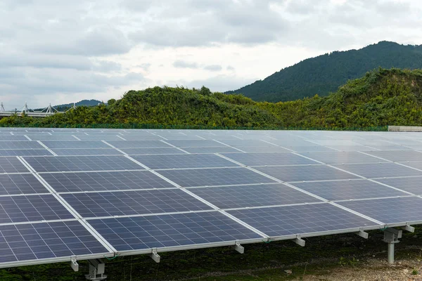Güneş enerjisi paneli bitki — Stok fotoğraf