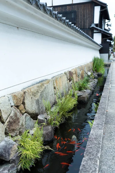 Japonská zahrada a říční kanál Koi ryby — Stock fotografie