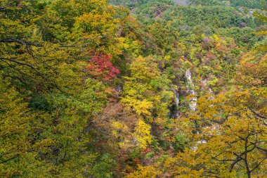 Sonbahar sezonu değil gorge
