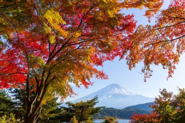 Göl Kawaguchi ve Mount Fuji Sonbahar sezonu