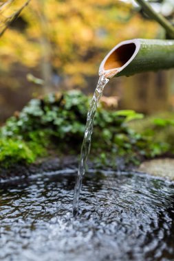 Japon bambu Kepçe Japonca Tapınak