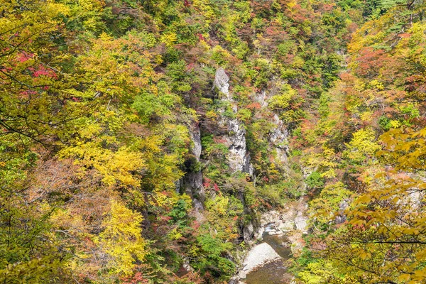 Naruko Gorge in autumn season — Stock Photo, Image