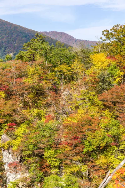 Canyon Naruko com folhagem de outono no Japão — Fotografia de Stock