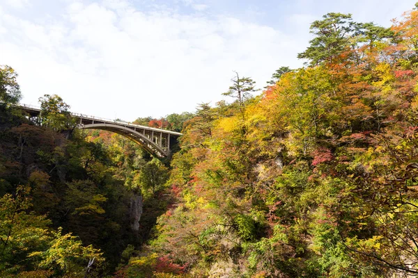 日本の鳴子峡の橋 — ストック写真