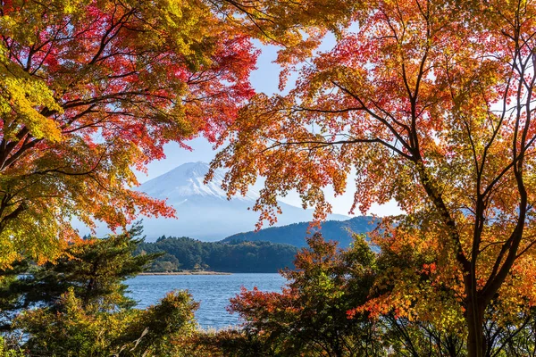 Monte Fuji con arces —  Fotos de Stock