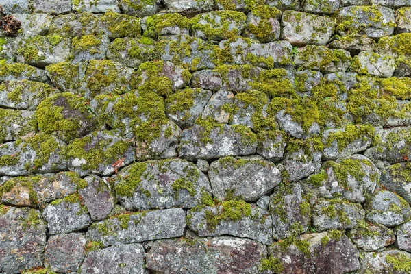 Tuğla duvar dokusu ile liken 