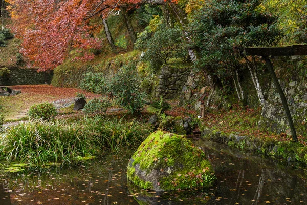 Jardín japonés en temporada de otoño — Foto de Stock