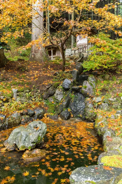 Traditional Japanese garden at autumn — Stock Photo, Image