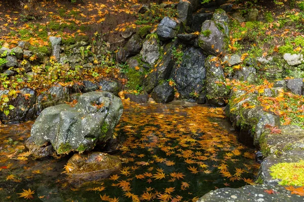 Traditionell japansk park på hösten — Stockfoto
