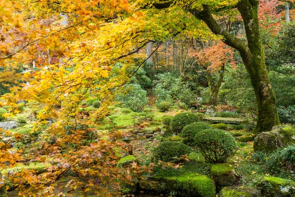 Beautiful Japanese temple in autumn season — Stock Photo, Image