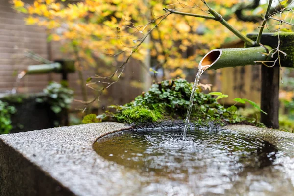 Japoński umywalka w sezonie jesiennym — Zdjęcie stockowe