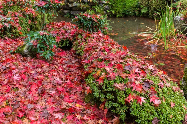 Jardin japonais en saison d'automne — Photo