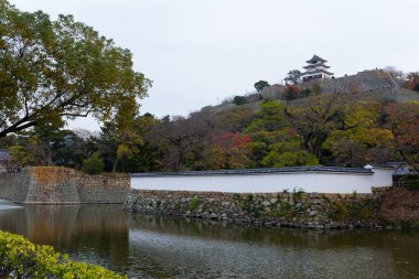 Marugame Kalesi Japonya sonbahar 
