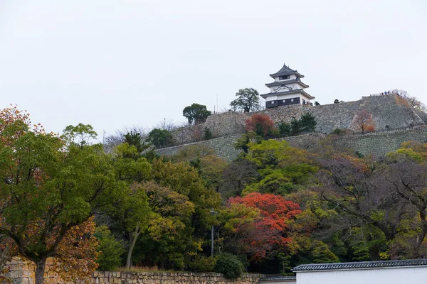 Marugame Castle in Japan at autumn — Stock Photo, Image