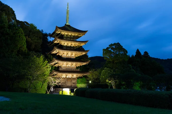 Pagoda chrámu Rurikoji v Japonsku — Stock fotografie