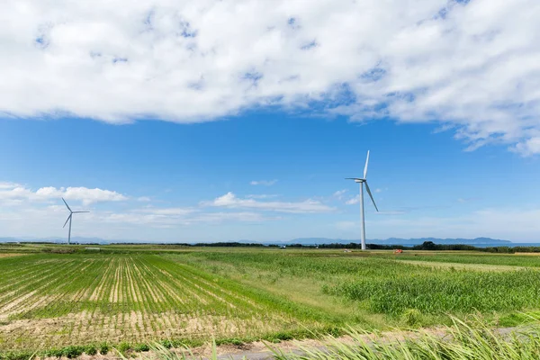 Turbinas eólicas e campo verde — Fotografia de Stock