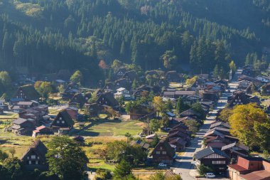 Japon geleneksel Shirakawago eski köy