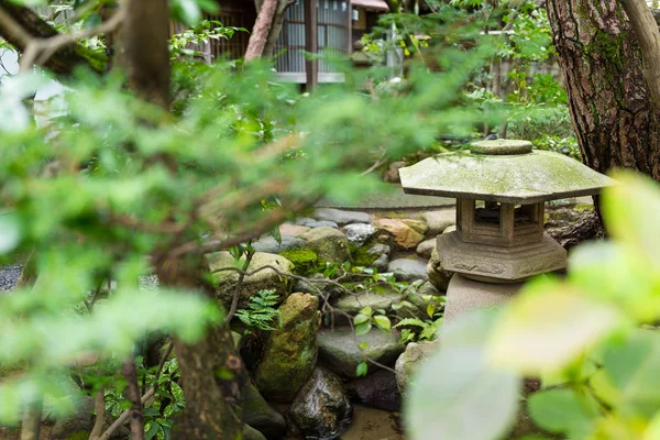 Japanische Laterne im schönen Garten — Stockfoto