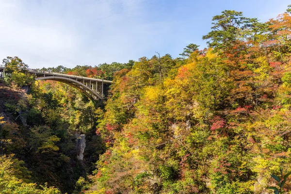 鳴子峡の橋 — ストック写真