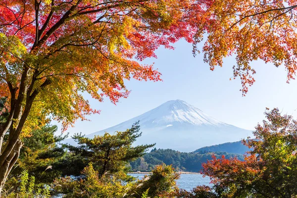 Mount Fuji-őszi szezonban — Stock Fotó
