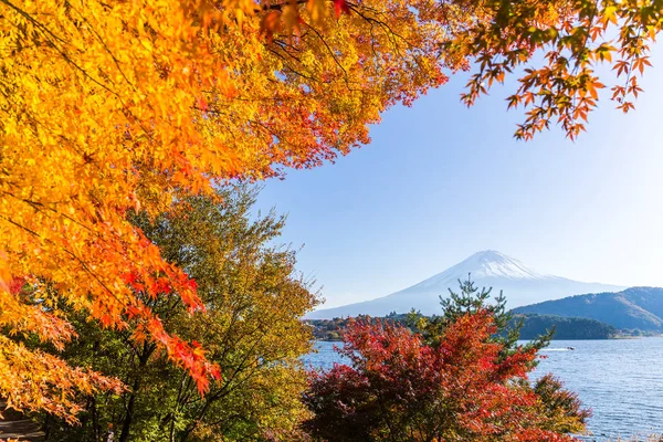 ฟูจิซังและต้นเมเปิ้ลที่มีทะเลสาบคาวากุจิ — ภาพถ่ายสต็อก