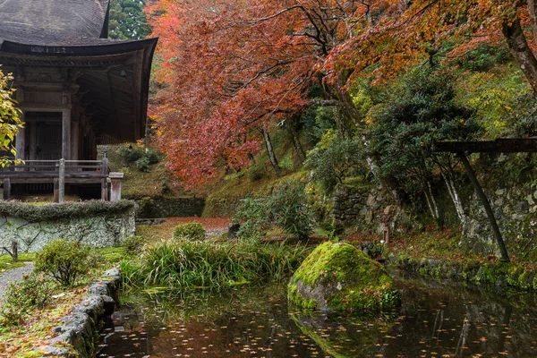 Japanese garden in autumn season — Stock Photo, Image