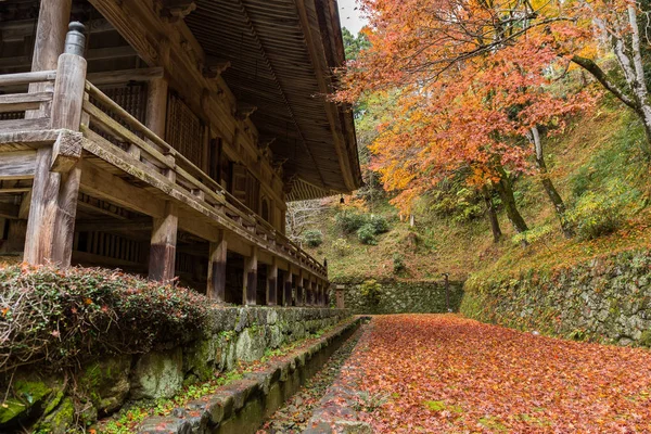 Traditionella japanska tempel på hösten — Stockfoto