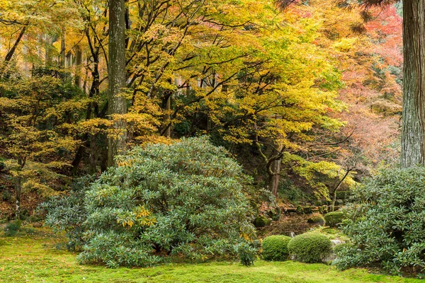 Japanese temple in autumn garden — Stock Photo, Image