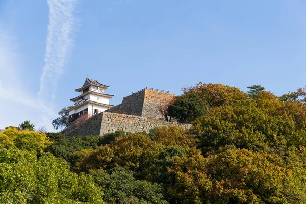Marugame Castle in Japan — Stock Photo, Image