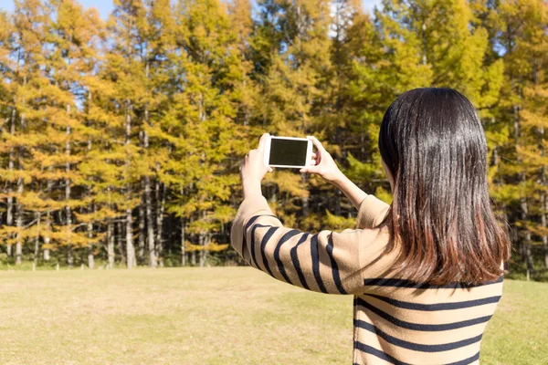 Wanita menggunakan ponsel untuk mengambil foto — Stok Foto