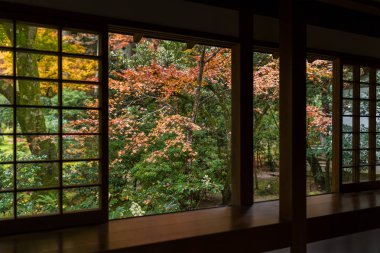 Sonbahar evde Japon çay