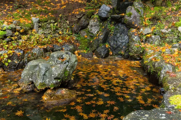 Japansk trädgård under höstsäsongen — Stockfoto