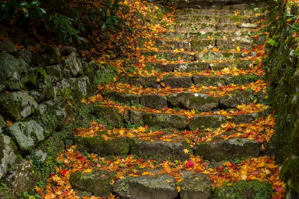 Rock stone steps with maple leaves — Stock Photo, Image