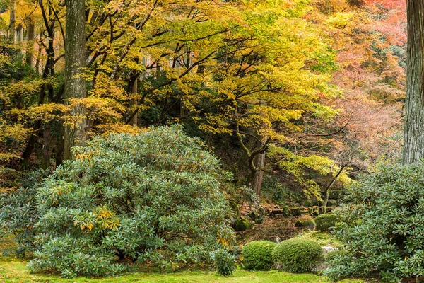 Paisaje otoñal en parque japonés — Foto de Stock